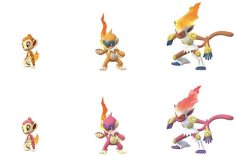 chimchar final evolution|serebii chimchar.